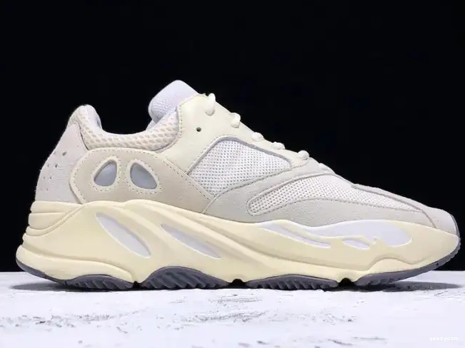 Adidas Analog EG7596 Yeezy Boost 700 0505